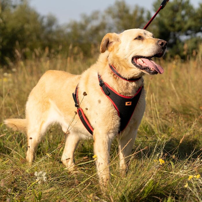 Шлейка для собак середнього розміру Ferplast ERGOCOMFORT, регульована, з м'якою підкладкою, подвійний мікрорегулятор, швидка застібка, срібна (червона), обхват шиї: 64-74 см, обхват грудей: 82-92 см