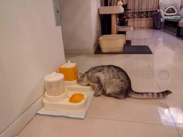 Автоматичний диспенсер корму та води для тварин, 2.2L + 1.8L (жовтий)