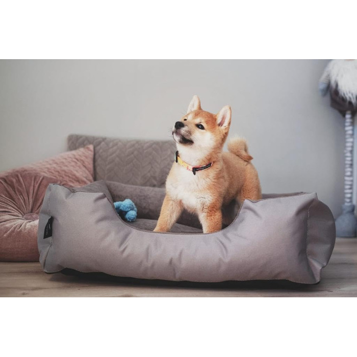 Лягушкове ліжко для собак BedDog Zara, м'яке ліжко-подушка для собак знімним та пральним чохлом, кошик для собак, собаче ліжко-диван, для маленьких собак, S L 70 x 55 x 18 см, світло-пісочний (світло-бежевий)