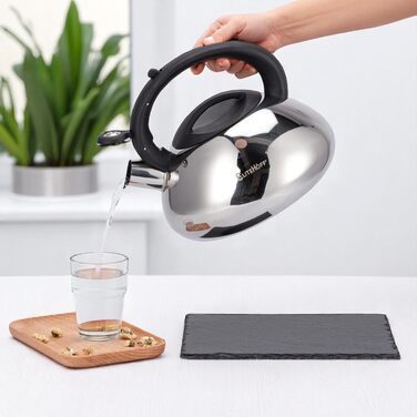 Електричний чайник EliteHoff з індукційним нагріванням, 3л, нержавіюча сталь, з автоматичним свистком, срібний, для всіх типів плит (E-5113)