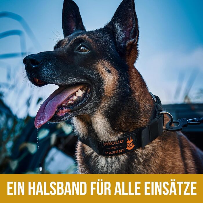 Нашийник для собак OneTigris 5 см з ручкою та патчем, чорний, великий, L