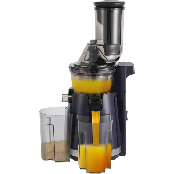 Juicer Slow Juicer, 250W Compact Electric Juicer 800 ml Juice Press for Vegetables and Fruits