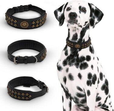 Нашийник для собак MICHUR Diego з натуральної шкіри, з декоративним левовим головою та заклепками, розмір 61-68,5 см