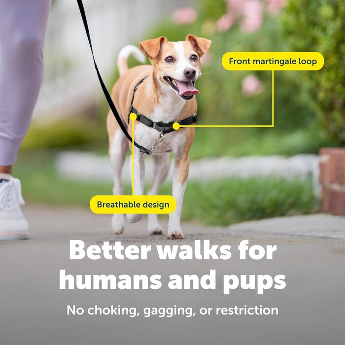 Шлейка PetSafe Easy Walk для собак, чорна, запобігає потягування, навчає гарним манерам на повідку