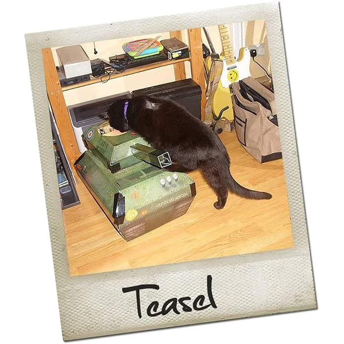 Будиночок для котів Tank від Suck UK: картонний будиночок, іграшка та ліжко для котів, інтерактивна іграшка, оригінальне аксесуар та подарунок для котів, іграшка для дому та вулиці