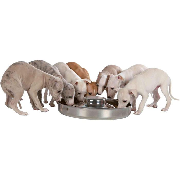 Миска для цуценят Trixie, нержавіюча сталь, 4 л, діаметр 38 см