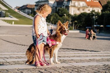 Нашийник для собак Paw Patrol JK9, розмір L (Скай)