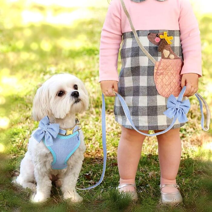 Didog Sweet Collar Harness and Leash Set for Small Dogs, Adjustable Collars and Leashes with Bow Tie, Breathable Soft Mesh Padding for Small Dogs for Walking, S (S: Neck 24-41cm; Chest 33-41cm, Blue)