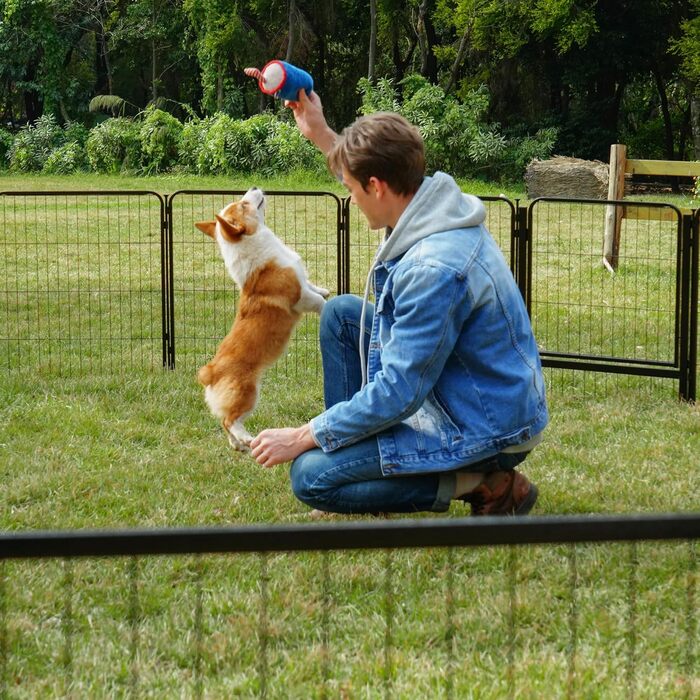 Стійка для собак SunsGrove 16-ти частинна, 60 см, для дому, з 2 дверцятами, чорна