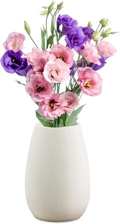 Керамічна ваза RANJIMA біла, ваза для квітів, декор, сучасний стиль, кругла, для пампас трави, 17 см, для дому та офісу