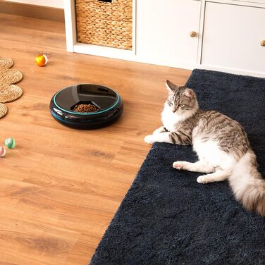 Автоматичний годівниця для домашніх тварин Cecotec Pumba 1600 Purrfect Meal - 1,6 л, 4 відділення, таймер, LED-дисплей, голосовий рекордер