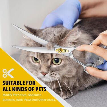 Професійна вигнута ножиця для грумінгу собак Dream Reach 8 дюймів, 440C нержавіюча сталь, ергономічна ручка, для собак та котів