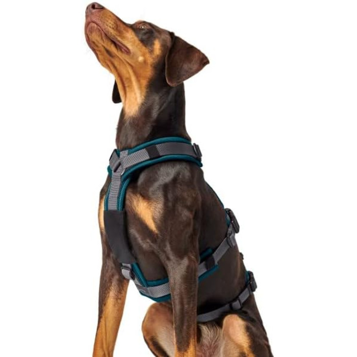 Нашийник для собак Maldon, колір petrol/сірий, розмір L