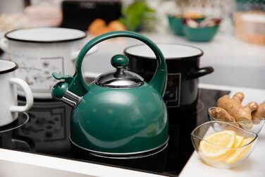Чайник електричний зі свистком з нержавіючої сталі Molly, 1.7л, зелений (газова плита, індукція, плита)
