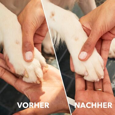 Dremel 7350 - Шліфувальний інструмент для догляду за кігтями домашніх тварин (собаки, коти)