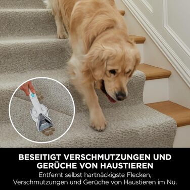 Shark Бездротовий видальник плям, портативний пилосос для прання та видалення запахів, для килимових покриттів, м'яких меблів та іншого, з коробкою для зберігання, аксесуарами та 2 × засіб для чищення, HX100EUCP (StainStriker Lösning Starterflaschen)