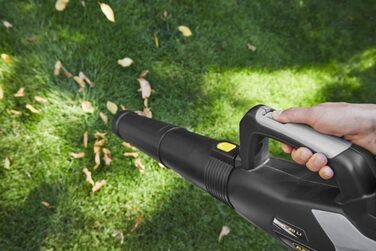Alpina Cordless Leaf Blower ABL 20 Li Kit, For a well-maintained garden, 20 V (4 Ah) battery, 280 W, space-saving detachable tube, Includes battery and charger.