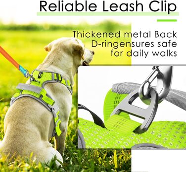 ThinkPet шлейка для собак від тяги з ручкою - регульована, без тиску, світловідбиваюча, дихаюча, з підкладкою (S, зелений)