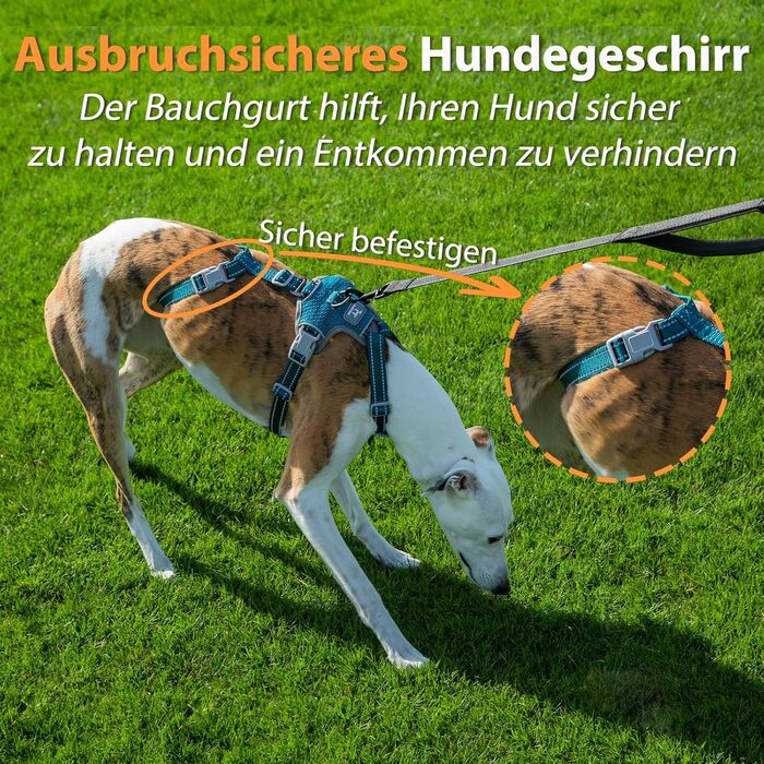 Шлейка Huntboo для собак: безпечна від виривання, антистресова, з відбиваючими елементами, регульована, легка (розмір S, блакитна)