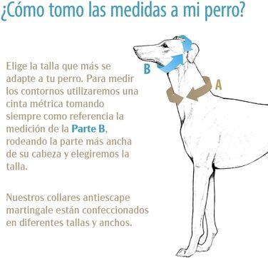 Нашийник для собак Galguita Amelie з принтом черепа, 4 см, розмір M (30-39 см), для собак Мартінгейл
