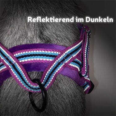 Шлейка для собак SlowTon з поводом, анти-тягуча, регульована, світловідбиваюча, для цуценят, собак малих та середніх порід, зелена (XXS, світло-фіолетова)