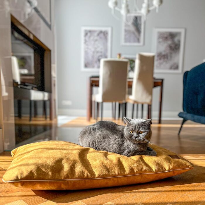 М'яке ліжко-подушка для собак та котів. Зміцнена, м'яка, безпечна для тварин. Розміри: L 80 x B 50 x H 8 см, колір: жовтий