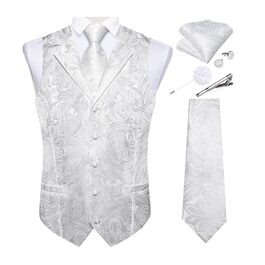 колір: пейслі вей