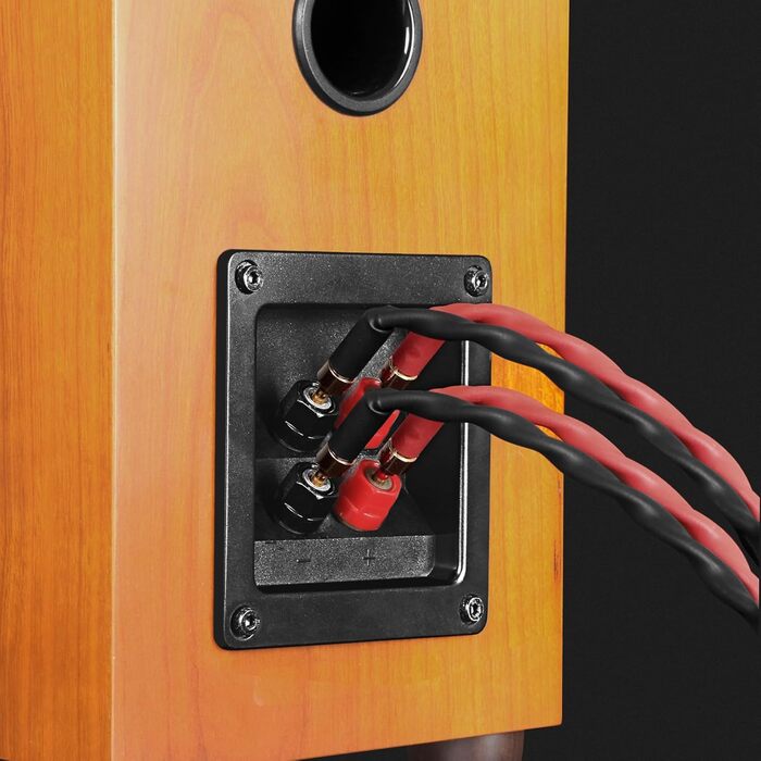 Акустичний кабель KK Cable k4B-2B Bi-Wire для колонок, 2.5 м, 1 пара (12 бананових роз'ємів), чорний, FCC-сертифікований, для зовнішнього використання