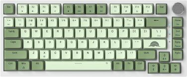 Механічна ігрова клавіатура SOLIDEE 75% з RGB-підсвічуванням, hot-swap, NKRO, TKL, 82 клавіші, Matcha/Red Switch