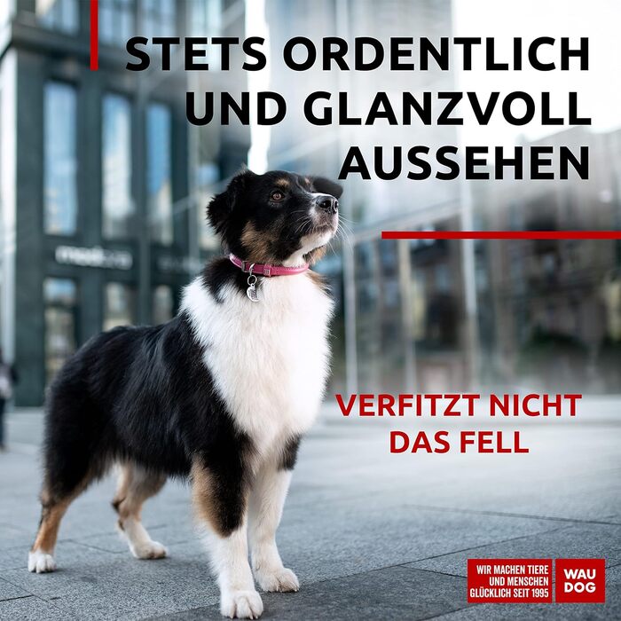Нашийник для собак WAUDOG з натуральної шкіри, 20-25 см, 8 мм, рожевий