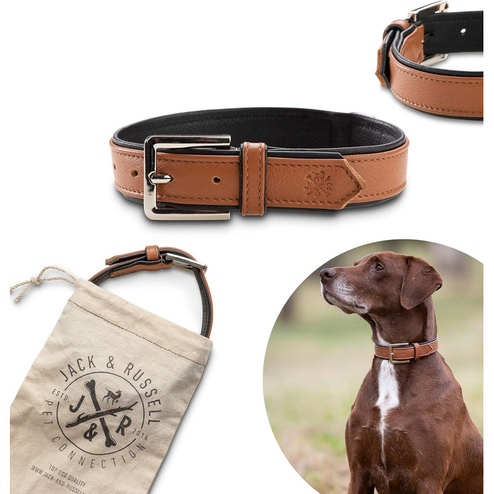 Преміум шкіряний нашийник для собак Jack Russell Lilly - Нашийник з натуральної шкіри Kalbleder - Нашийник для собак Jack Russell Lilly (S, ) (XL - обхват шиї 42,0-52,0 см, Коричневий/Чорний)