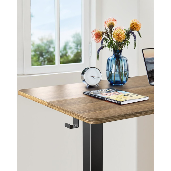 ErGear Electric Standing Desk 100x60cm - Walnut Finish, 4-Memory Smart Desk for Home Office with Mounting Plate