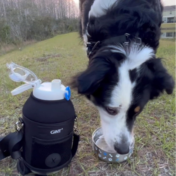 GiNT Ізольована пляшка для води з нержавіючої сталі для собак та людей, багатофункціональний дорожній диспенсер з знімними мисками та сумкою, водонепроникна годівниця для тварин для прогулянок, походів, кемпінгу, авто, білий/розкішний сад