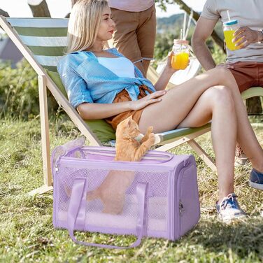 Транспортна сумка для кота Petsfit, дозволена авіаперевозками, розширювана, зелена, розмір S (45 x 28 x 28 см)