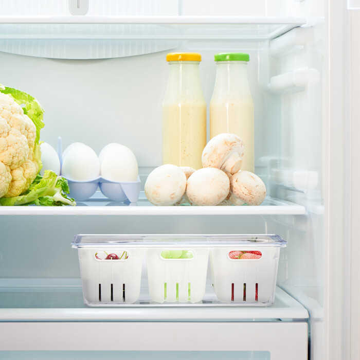 Relaxdays Refrigerator Organizer 4-Piece Set