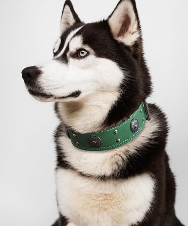 Leather Dog Collar, 5 cm Wide Robust Genuine Leather Collar, Handcrafted, Soft and Luxurious, Striking Best Choice for Large and Medium Dog Breeds (42-52 cm, green)