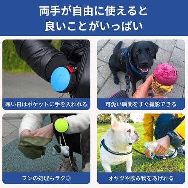 Lishinu3 Full-Stop L Dog Leash - Black (13-40kg)