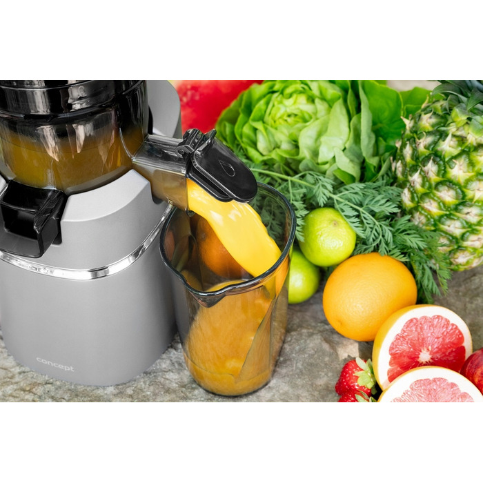 Вертикальна шнекова соковижималка Concept JUICY LO7120, 250 Вт