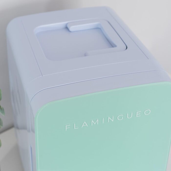 Міні-холодильник Flamingueo 10л 12V/220V: Автомобільний холодильник-термос для напоїв