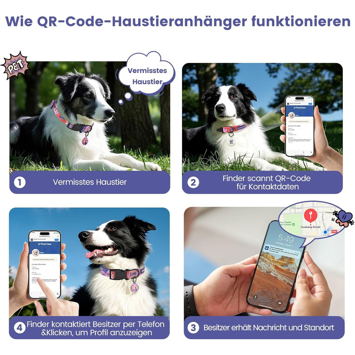 Набір повідка та нашийника для собак, регульований, для щоденних прогулянок, фіолетовий, XS (22-30 см, 1.5 м)