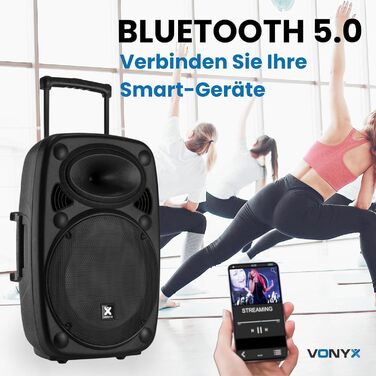 Vonyx Verve46 - портативна акустична система для вечірок, Bluetooth, 1000W, 2 мікрофони UHF, MP3, з пультом ДУ, чорний