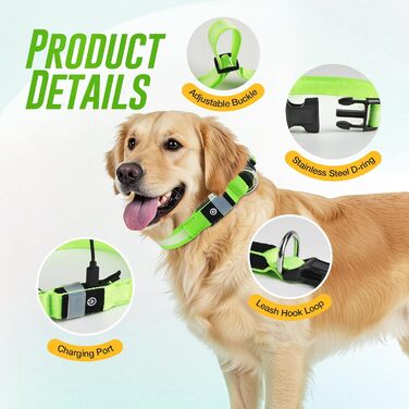 Світлодіодне нашийник для собак Jewyow 7-в-1, перезаряджуваний USB-C, водонепроникний, зелений (L)