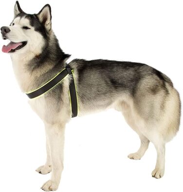 Шлейка для собак Ferplast Agila Fluo 3, неонове зелений, розмір 3 (37-57 см), м'яка підкладка, регулювання шнурком