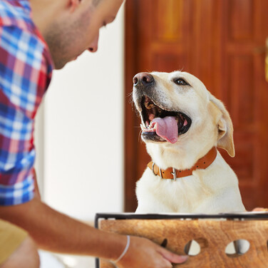 Relaxdays Pet Feeder Station 'Woof' for Dogs