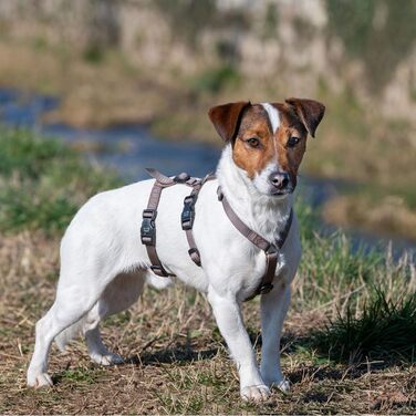 Шлейка для собак Ferplast Brave, середнього розміру, чорна. Надійна, з 6 застібками, для грейхаундів. Регульована, витривала шлейка для собак.