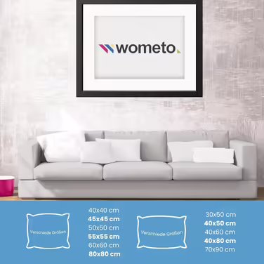 wometo 2er Set Feather Pillow 100% Feathers 55x55-750g oekoTex Pillow Head Pillow Filling Pillow Cover Cotton white/Inner Pillow/Pillow Filling/Sleeping Pillow (2 pieces) 55 x 55 cm