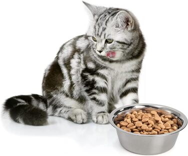 Набори мисок для собак та котів DEAYOU (4 шт.), нержавіюча сталь, 21 см, 1.3 л