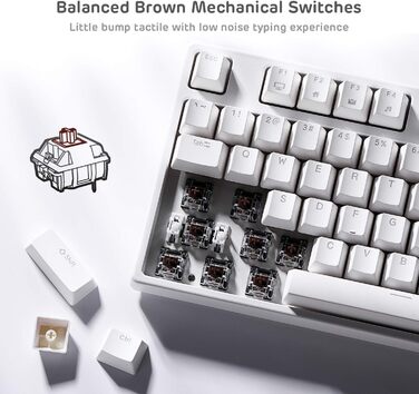Клавіатура ігрова Royal Kludge RK87G RGB TKL механічна бездротова, 87 клавіш, коричневі тактильні перемикачі, макро-налаштування, підсвічування