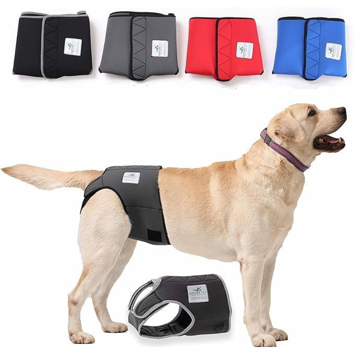 Incontinence pants for female dogs / Incontinence pants for male dogs / Dog protection pants made of high-quality, perforated neoprene, black, XS, (manufacturer size 1)