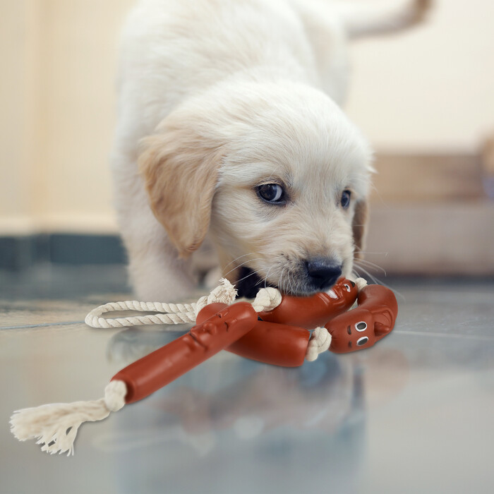 Relaxdays Dog Toy Sausage